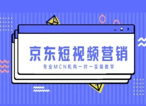 京东短视频营销项目,专业MCN机构一对一实操教学-副业资源站