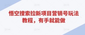 悟空搜索拉新项目营销号玩法教程，有手就能做-副业资源站