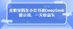 全职宝妈在小红书卖DeepSeek提示词，一天收益1k-副业资源站
