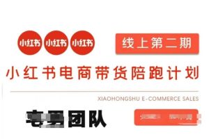 小红书电商带货课2期,月利润20个的小红书电商的有货源,无货源,虚拟产品,付费投流等整套玩法-副业资源站