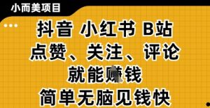 小而美的项目，抖音小红书B站视频点赞、关注、评论就能挣钱，简单无脑立见收益，妥妥的零撸项目【揭秘】-副业资源站
