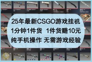 25年最新CSGO游戏挂G，1分钟1件货，1件货挣10元，纯手机操作，无需游戏经验【揭秘】-副业资源站
