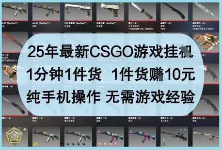 25年最新CSGO游戏挂G，1分钟1件货，1件货挣10元，纯手机操作，无需游戏经验【揭秘】-副业资源站