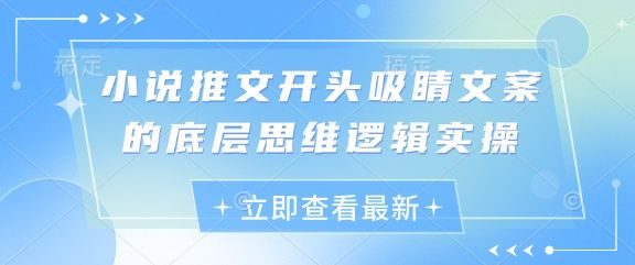 小说推文开头吸睛文案的底层思维逻辑实操-副业资源站