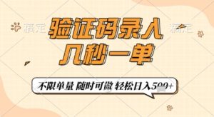 验证码录入，几秒钟一单，只需一部手机即可开始，随时随地可做，每天5张+【揭秘】-副业资源站