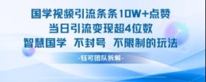 国学视频引流条条10W+点赞当日引流变现超4位数-副业资源站