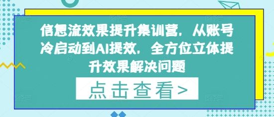 信息流效果提升集训营，从账号冷启动到AI提效，全方位立体提升效果解决问题-副业资源站