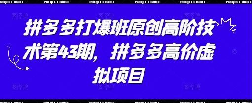 拼多多打爆班原创高阶技术第43期，拼多多高价虚拟项目-副业资源站