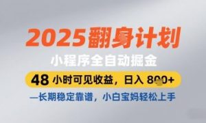 2025小程序全自动掘金,48 小时可见收益,日入8张,长期稳定靠谱,小白宝妈轻松上手【揭秘】-副业资源站