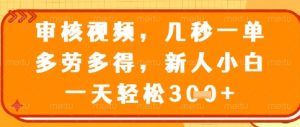 视频审核员，几秒一单，不限时间，不限地点，多做多得，新人小白一天轻松几张+【揭秘】-副业资源站