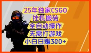 25年独家CSGO挂G搬砖，全自动操作，无需打游戏，小白日入3张+【揭秘】-副业资源站