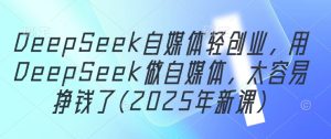 DeepSeek自媒体轻创业,用DeepSeek做自媒体,太容易挣钱了(2025年新课)-副业资源站
