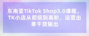 东南亚TikTok Shop3.0课程,TK小店从初级到高阶,运营出单干货输出-副业资源站