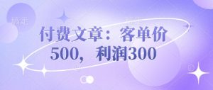 付费文章:客单价500,利润300-副业资源站
