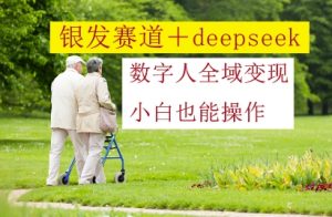 银发赛道+deepseek数字人全域变现,小白也能操作-副业资源站