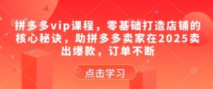拼多多vip课程，零基础打造店铺的核心秘诀，助拼多多卖家在2025卖出爆款，订单不断-副业资源站