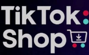 TikTokShop跨境电商0-1实战，手把手教你低成本启动海外市场（更新）-副业资源站