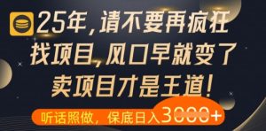 什么?25年你还在疯狂找项目做,醒醒吧,看完这些你全都懂了【揭秘】-副业资源站