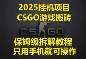 2025挂G项目，CSGO游戏搬砖，保姆级拆解教程，只用手机就可操作【揭秘】-副业资源站
