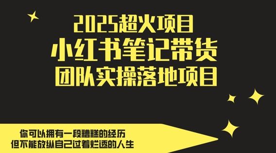 2025超火项目，副业最佳选择，小红书笔记带货团队实操落地项目，，轻松日入5张-副业资源站