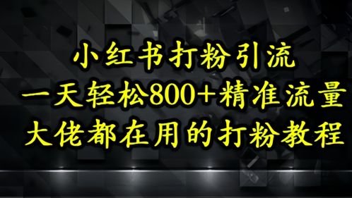 小红书打粉引流，一天轻松500+精准流量，大佬都在用的打粉教程-副业资源站