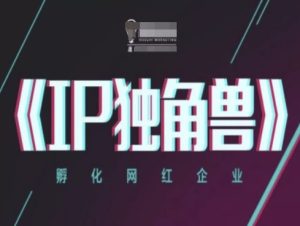 IP独角兽,孵化网红企业,ip教程-副业资源站