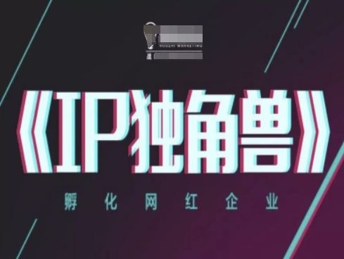 IP独角兽,孵化网红企业,ip教程