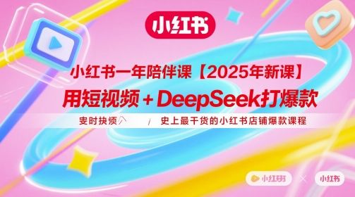 小红书一年陪伴课【2025年新课】，用短视频+deepSeek打爆款，史上最干货的小红书店铺爆款课程-副业资源站