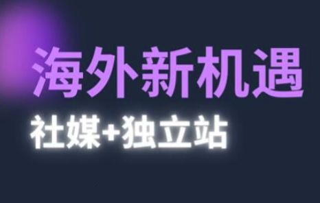 2025出海新机遇(社媒+独立站)，海外新机遇，实现独立站的高效运营与出海-副业资源站