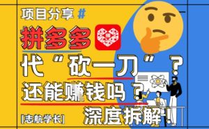 【2025最新】拼多多代坎助力项目深度拆解：还能挣钱吗?全流程玩法-副业资源站