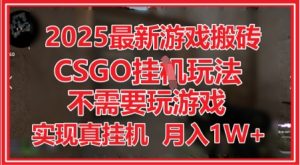 2025最新游戏搬砖,CSGO挂G,不需要玩游戏,实现真挂G,月入1W+【揭秘】-副业资源站