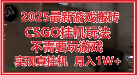 2025最新游戏搬砖,CSGO挂G,不需要玩游戏,实现真挂G,月入1W+【揭秘】