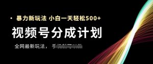 视频号分成计划，全网最暴力玩法，新手一天也能轻松5张+-副业资源站