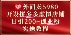外面卖5980开设拼多多虚拟店铺：单日引流200+创业付费粉实战教程-副业资源站