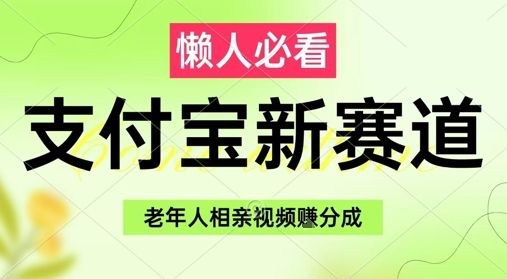 支付宝新赛道，利用老年人相亲视频，挣分成收益，轻松月入过W，操作简单-副业资源站