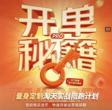 淘宝开单秘籍PRO，量身定制淘天实战陪跑计划，告别做店迷茫、快速突破运营瓶颈期（更新）-副业资源站