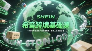 希音跨境基础课,SHEIN希音卖家入门实操指南,新手入坑希音必看-副业资源站