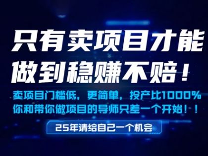 只有卖项目才能做到稳挣不赔，门槛低，更简单，你也可以年入百个W【揭秘】-副业资源站