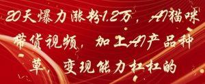 20天爆力涨粉1.2W，AI猫咪带货视频，加上AI产品种草，变现能力杠杠的-副业资源站