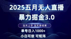 2025五月无人直播暴力掘金3.0，当天上手，当天拿结果，单号日入1k+小白可做可矩阵【揭秘】-副业资源站