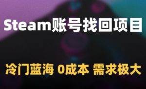 Steam账号找回项目,冷门蓝海,0成本,需求极大-副业资源站