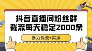 抖音直播间粉丝群暴力截流，一台电脑每天稳定2000条数据，暴力截流+实操 【揭秘】-副业资源站