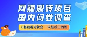 网创搬砖项目,国内问卷调查,小白轻松上手,一天三四张的也不难,干就完了【揭秘】-副业资源站