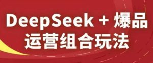 DeepSeek+爆品运营组合玩法，2025淘系精品课-副业资源站