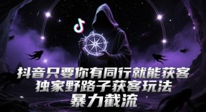抖音只要你有同行就能获客，独家野路子获客玩法，暴力截流【揭秘】-副业资源站