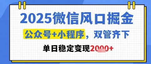 2025微信风口掘金，公众号+小程序双管齐下，单日稳定变现1k+【揭秘】-副业资源站