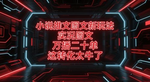 小说推文图文新玩法，实况图文，万播二十单，这转化太牛了！-副业资源站