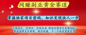 网创副业黄全赛道，掌握独家项目密码，知识变现快人一步，告别韭菜轻松实现单日变现1k+【揭秘】-副业资源站