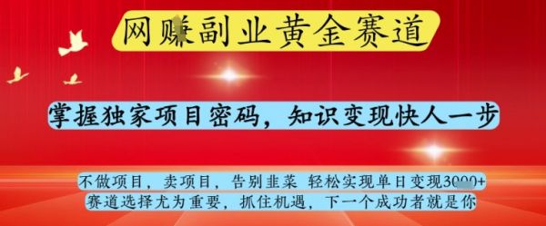 网创副业黄全赛道，掌握独家项目密码，知识变现快人一步，告别韭菜轻松实现单日变现1k+【揭秘】-副业资源站