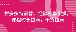 拼多多特训营,经验分享实操,课程时长拉满,干货拉满(更新25年4月)-副业资源站
